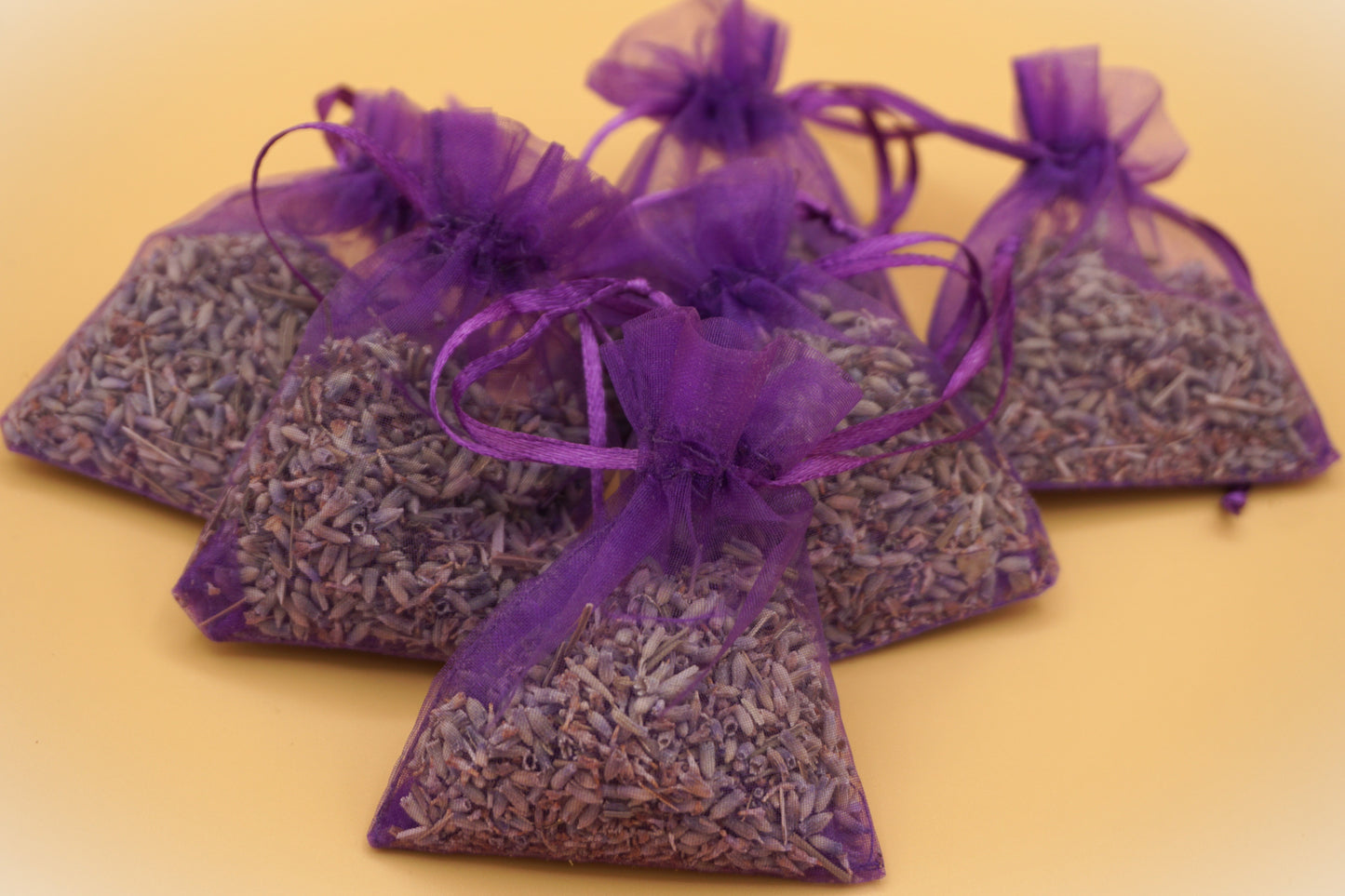 Sachel Lavender